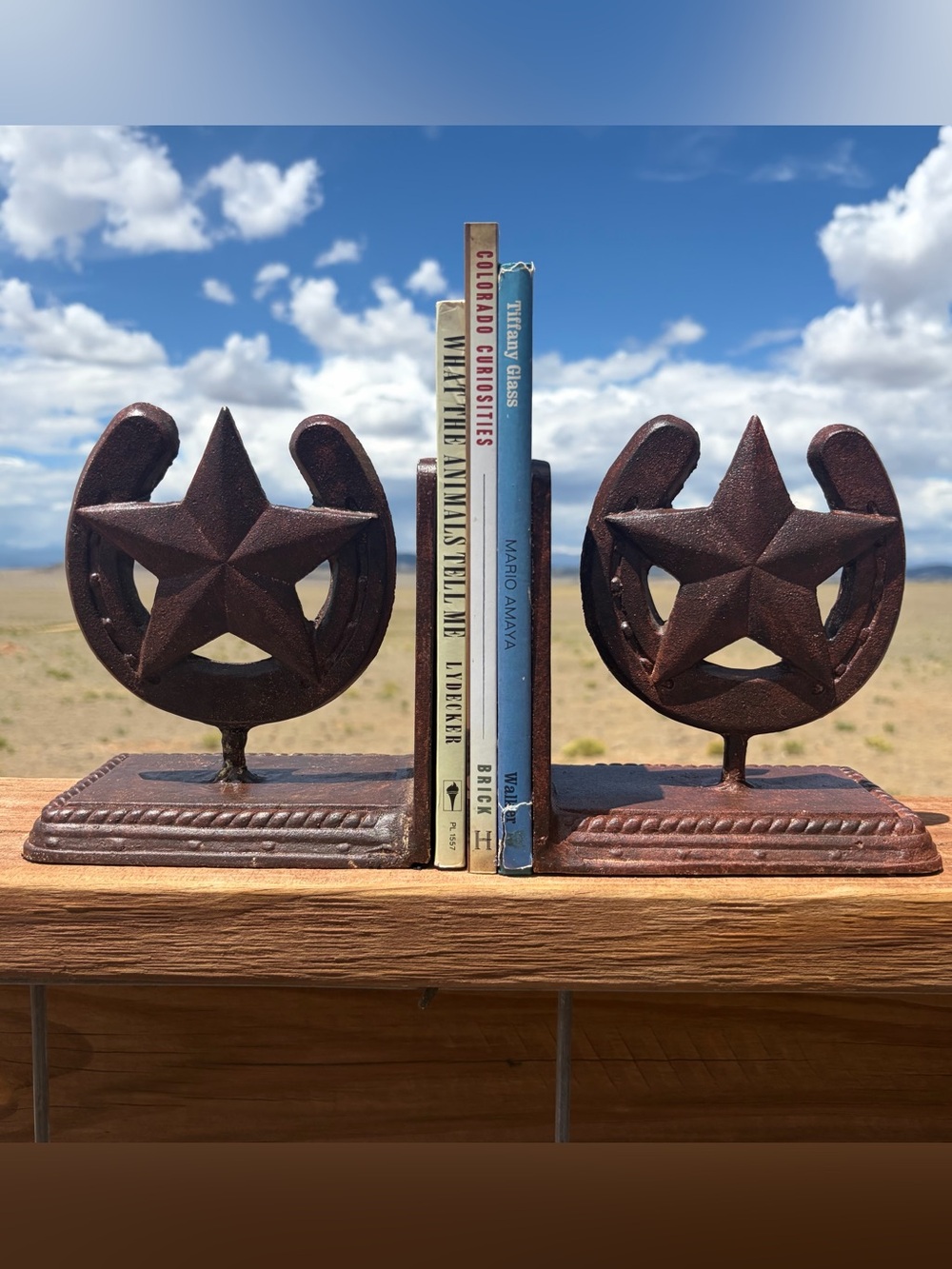 RUSTIC WESTERN COWBOY DECOR HEAVY DUTY RANCH STYLE